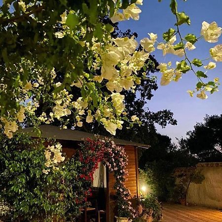 B&B Il Girasole Сант'Анна-Аррези Экстерьер фото