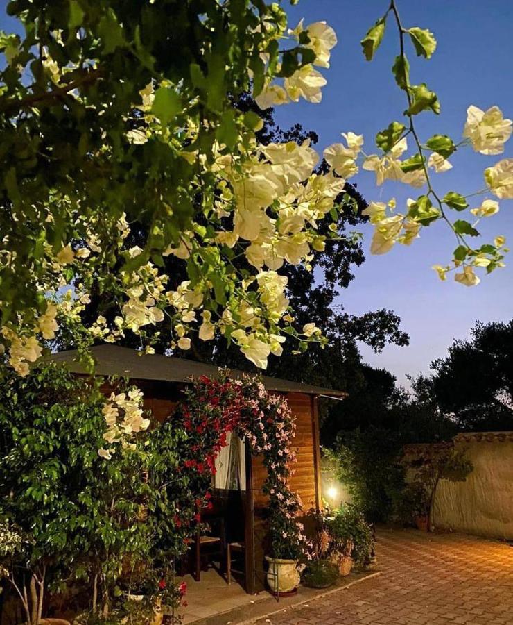 B&B Il Girasole Сант'Анна-Аррези Экстерьер фото