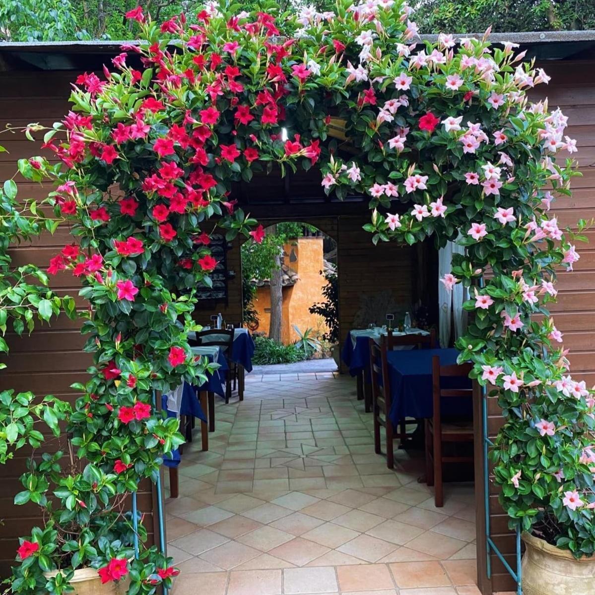 B&B Il Girasole Сант'Анна-Аррези Экстерьер фото